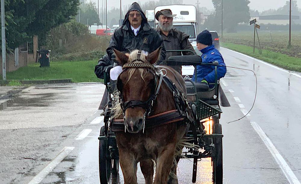 Paradriving Fieracavalli