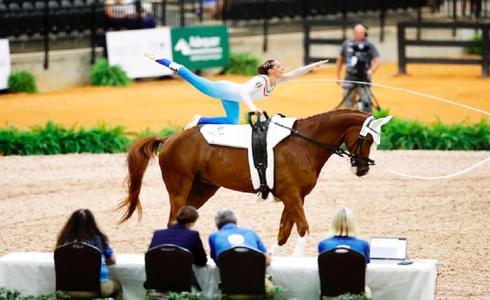 Horses & Butterflies - Foto Fise