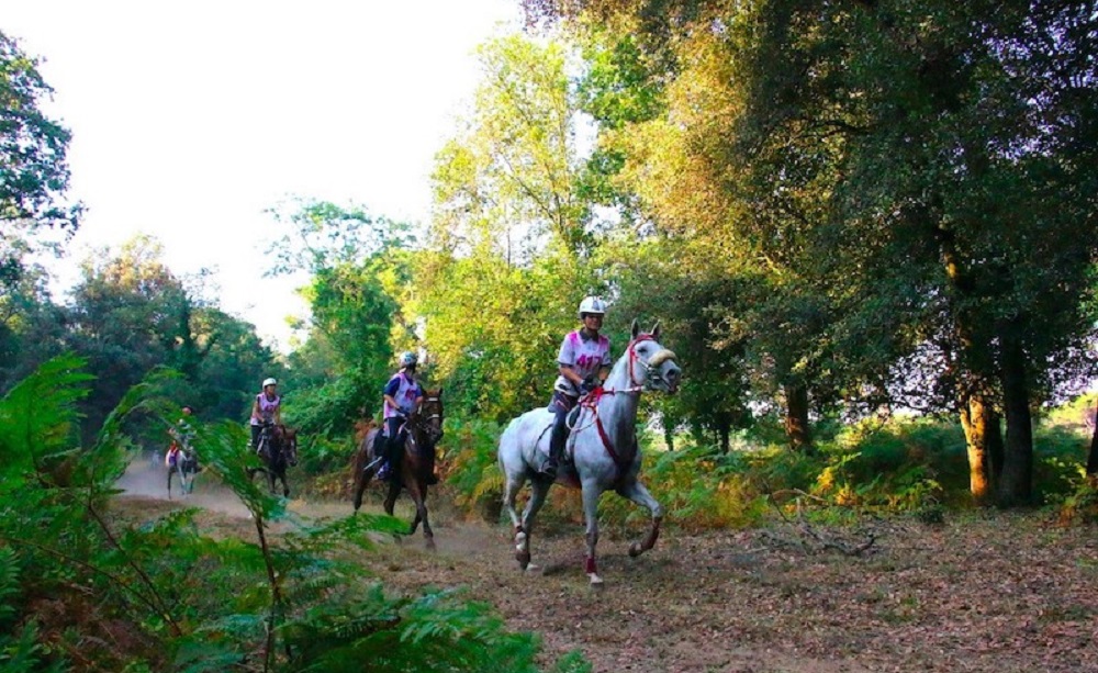 Campionato del Mondo di Endurance