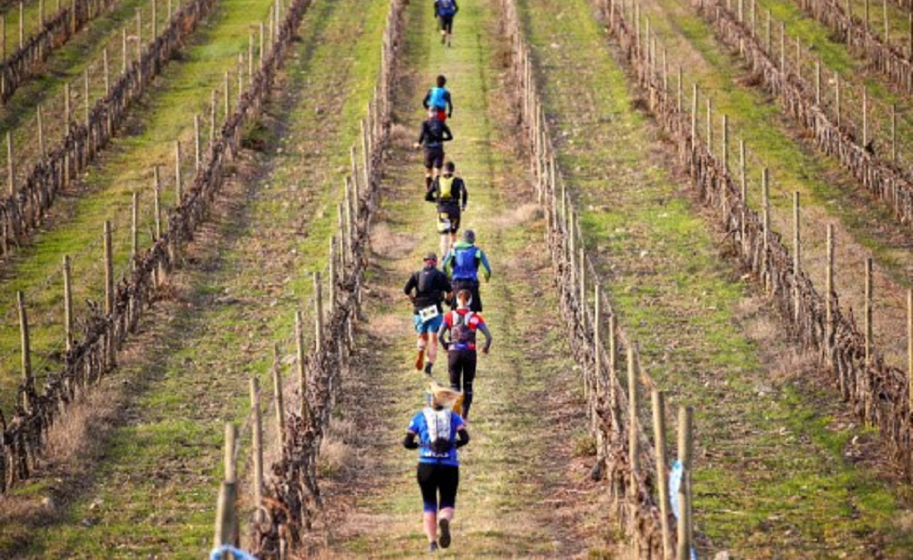 Foto Brunello Crossing