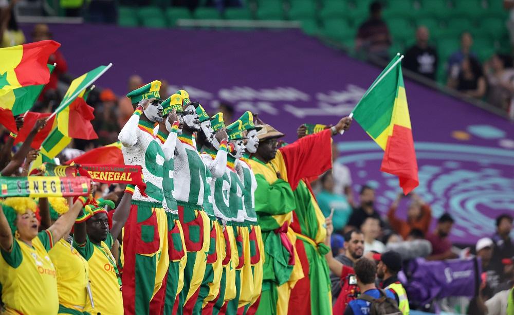 Tifosi Senegal